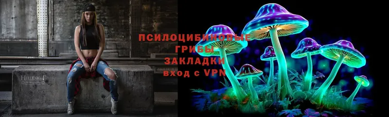 где купить   Заводоуковск  Псилоцибиновые грибы Magic Shrooms 